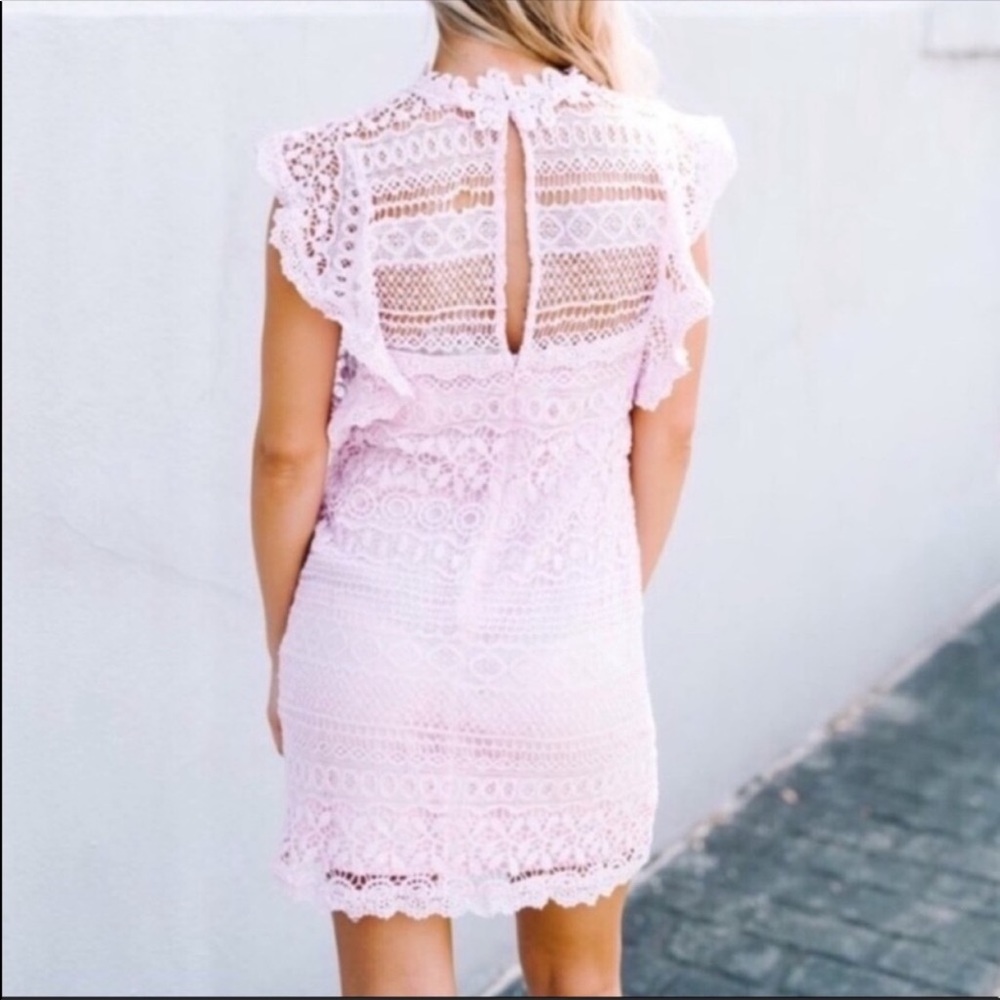 Pretty in Pink Lace Dress - Picture 3 of 4